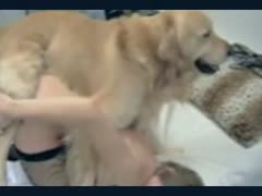 A brown fuzzy dog from Mexzoo is slapping a teenager from behind.